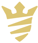 elite motion logo RGB nobackground204 p